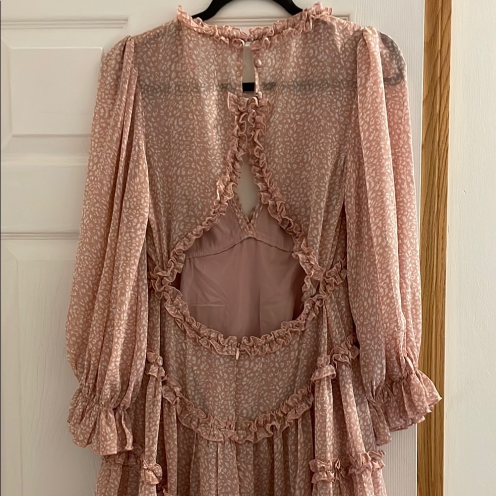 Pink Ruffled Dress - Picture 4 of 4